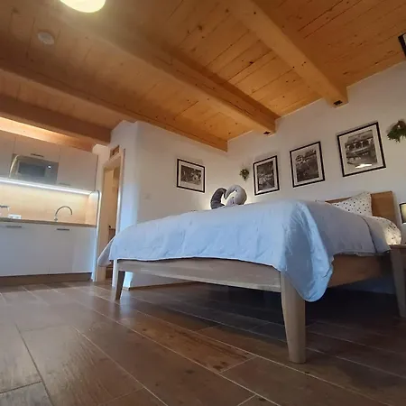 Petidomi 88 - Rozmberska 4*