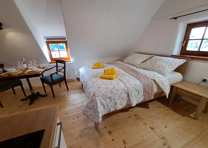 Pětidomí 88 - Rožmberská 4*