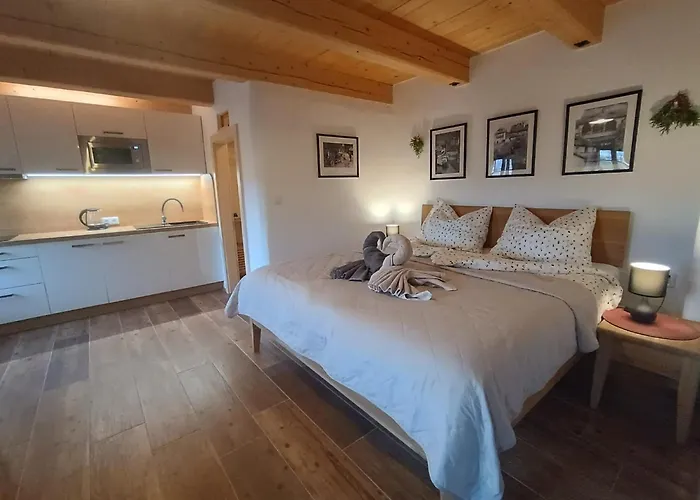 Pětidomí 88 - Rožmberská 4* Český Krumlov